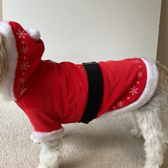 Bundle of Dogs outfits; toys; 2 Shih Tzu Car Coaster & key chain & collar - Picture 2 of 13